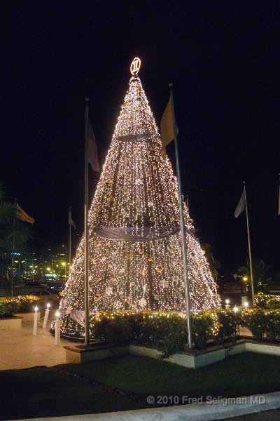 20101203_224215 G11.jpg - Christmas tree outside Intercontinental Hotel